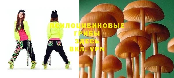 амфетамин Алексеевка