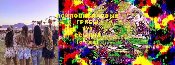 крисы Алексин