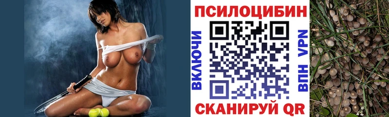 купить   Грязовец  Псилоцибиновые грибы прущие грибы 
