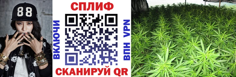 Конопля Amnesia  Грязовец 